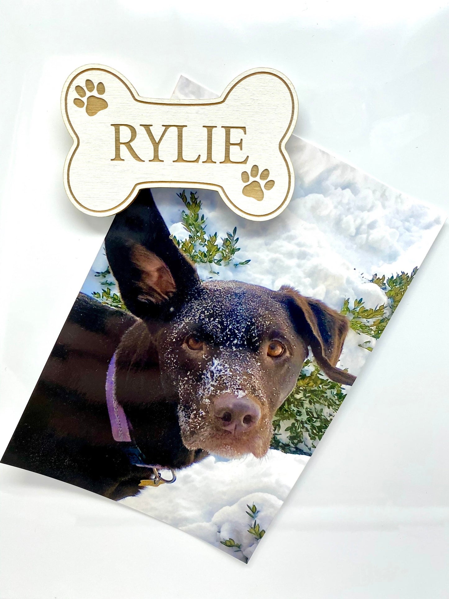 Dog Magnet | Custom Pet Name Magnet | Dog Bone Shape | Gift for Animal Lovers | Fur Babies