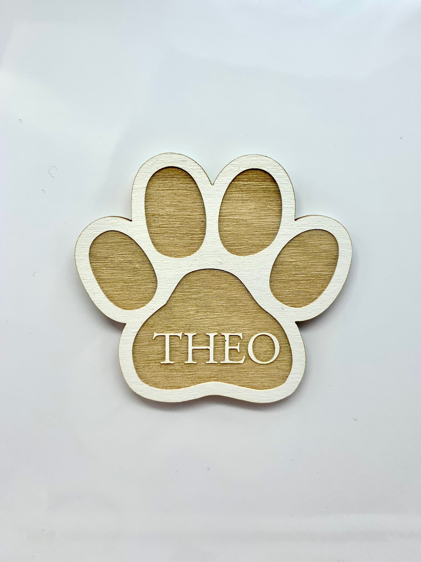Dog Magnet | Custom Pet Name Magnet | Paw Print Shape | Gift for Animal Lovers | Fur Babies