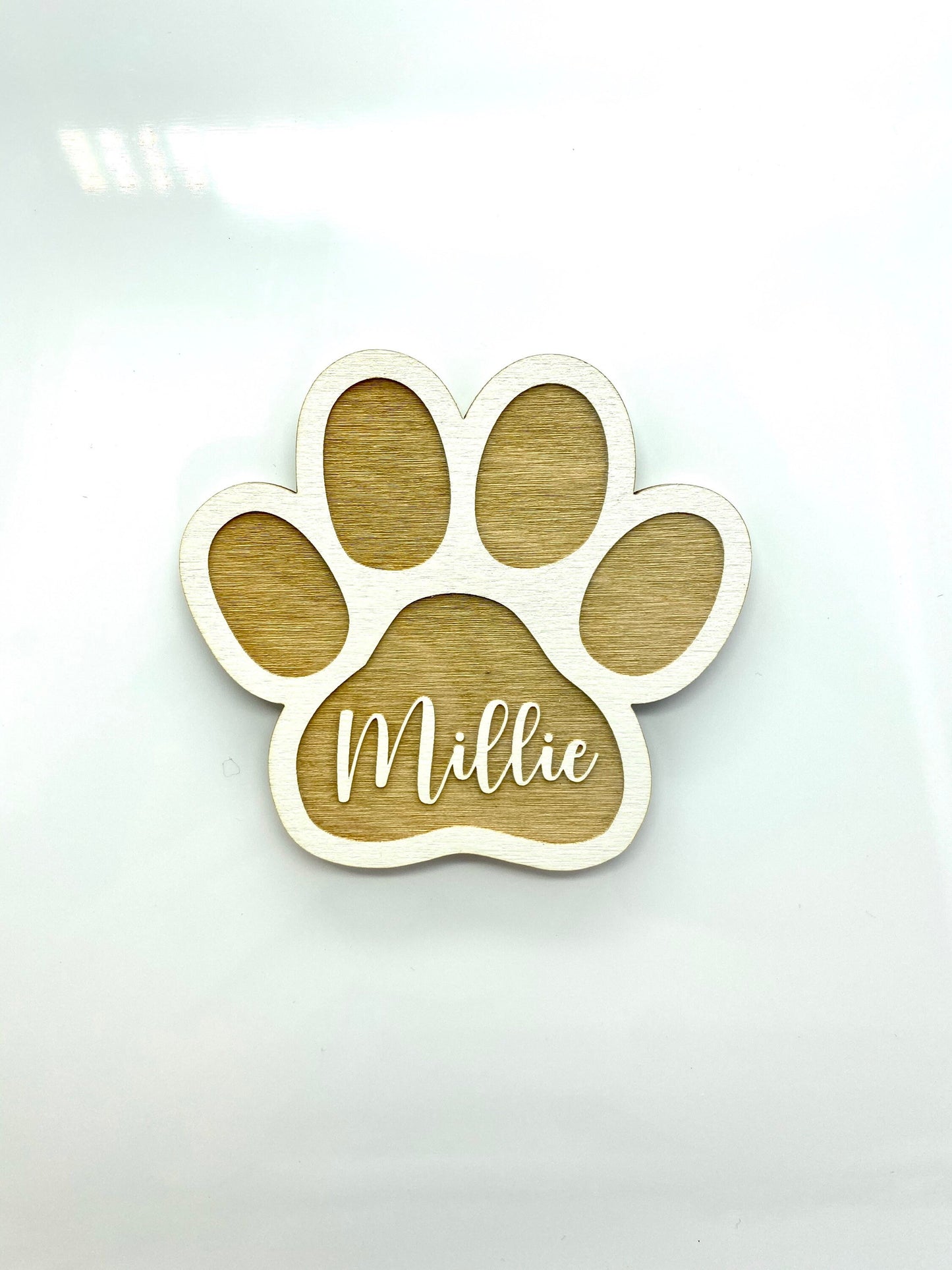 Dog Magnet | Custom Pet Name Magnet | Paw Print Shape | Gift for Animal Lovers | Fur Babies